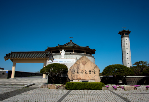 info7_sj15_p1.jpg