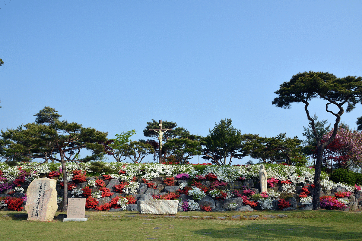 info7_sj09_p1.gif